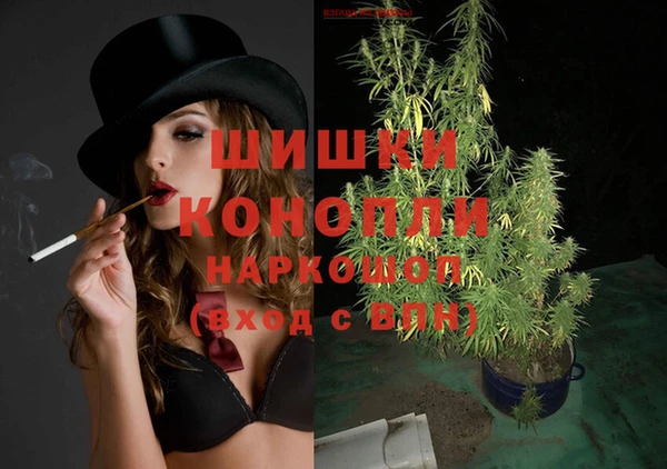 сатива Коряжма