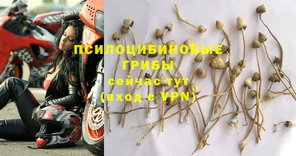 MDMA Premium VHQ Козельск