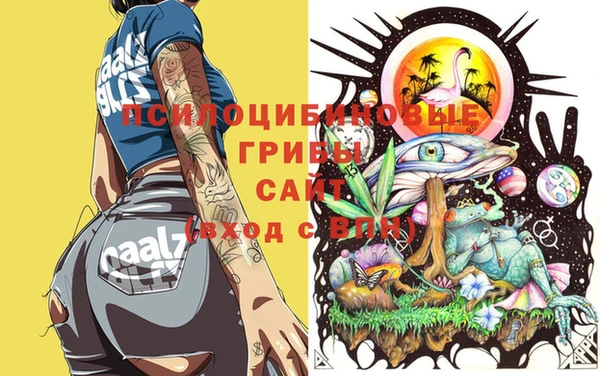 бутират Козловка