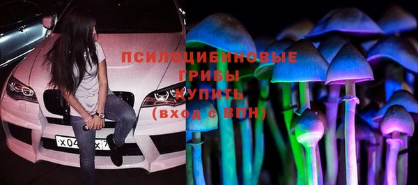 сатива Коряжма