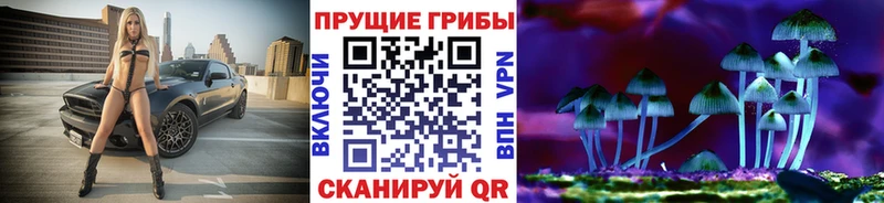 Купить где  Карабаново  Галлюциногенные грибы Magic Shrooms 